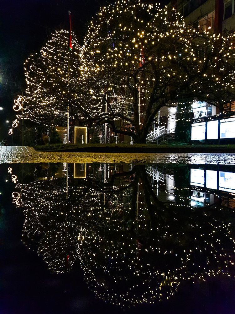 Новогодние яблони