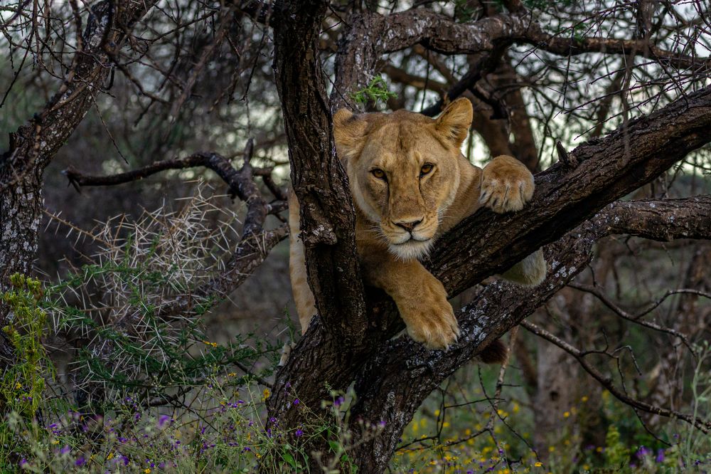 Photograph by Natalia Amir