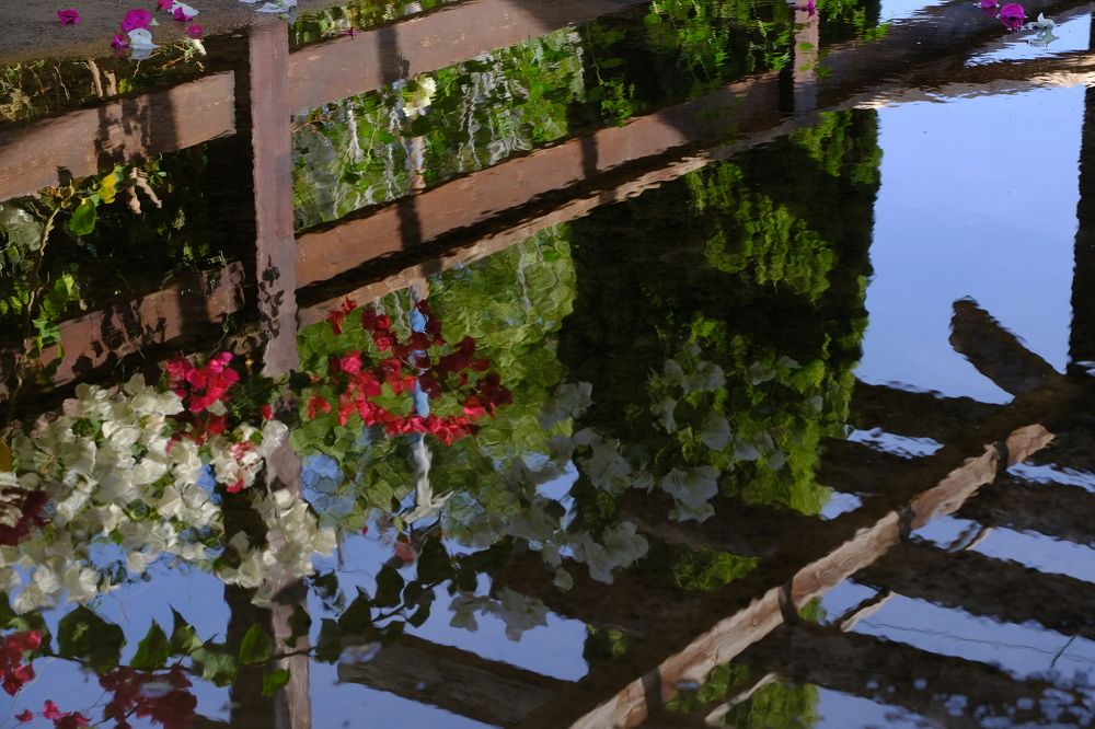 Фотография автора Dmitry