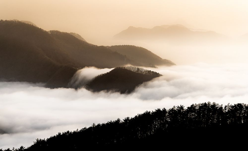 Photograph by Myunggyu Bae