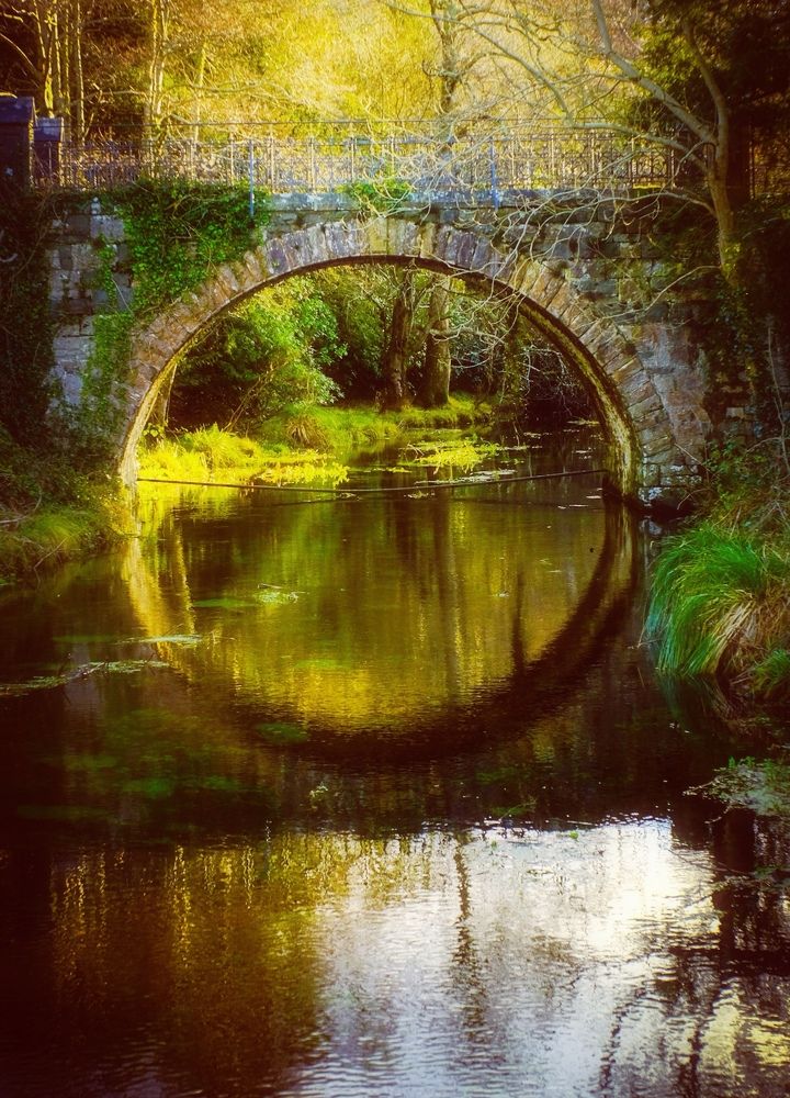 Photograph by Vedran Grebljanovic