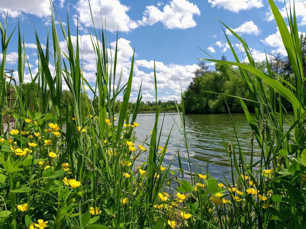 Photograph by Vitalie