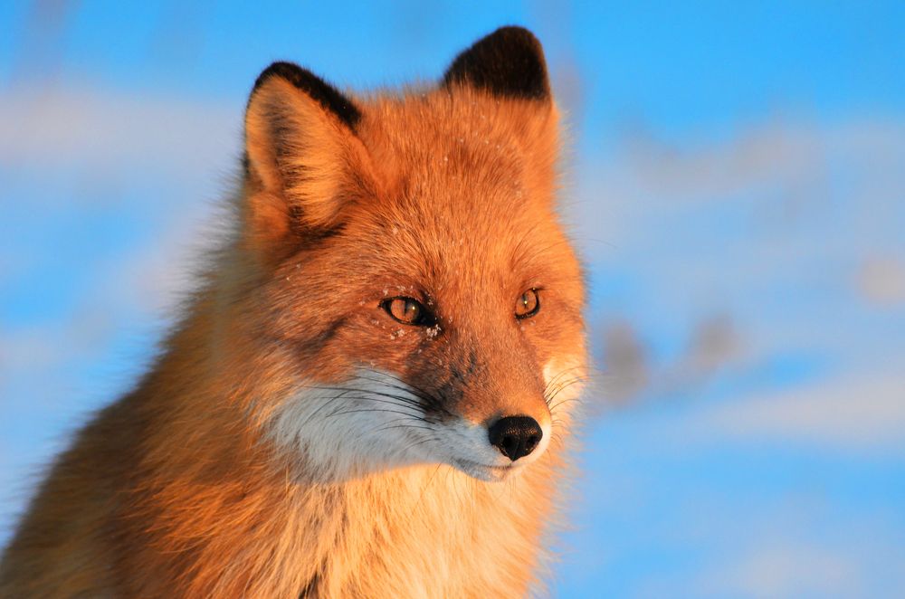 Photograph by Вероника Романенко