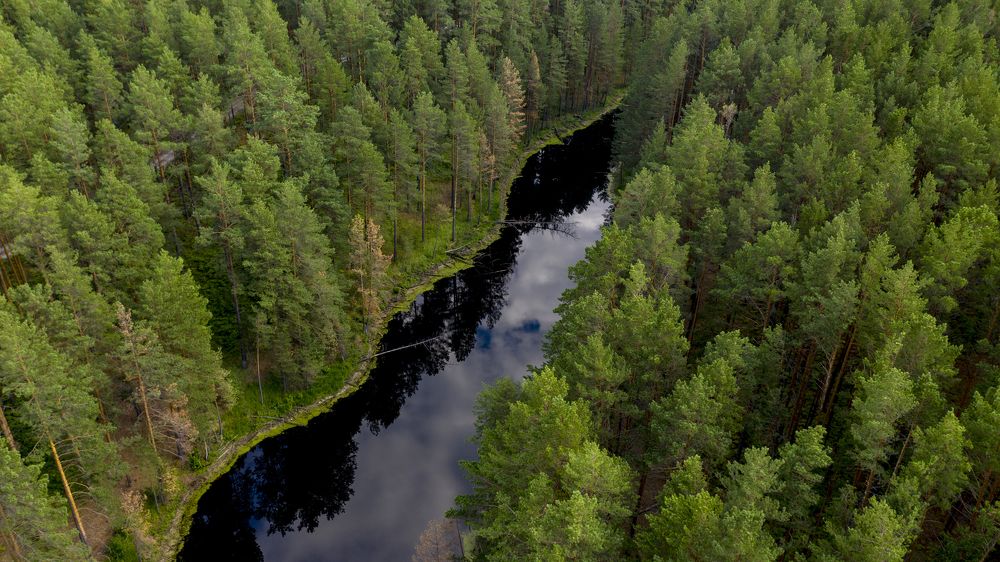 Photograph by Александр Гурьянов