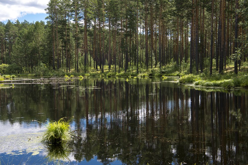 Photograph by Александр Гурьянов