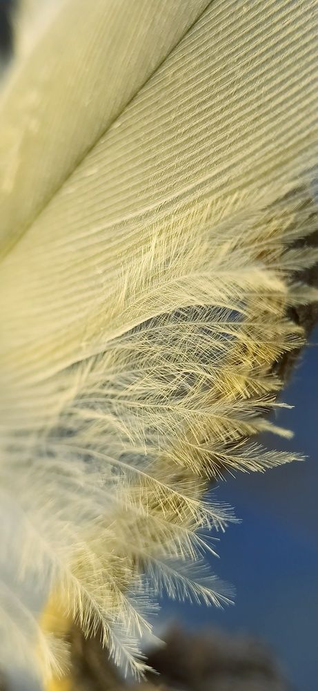 Photograph by Катерина Ермолаева