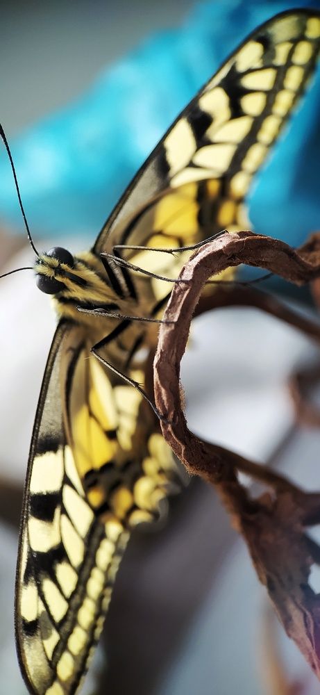 Photograph by Катерина Ермолаева