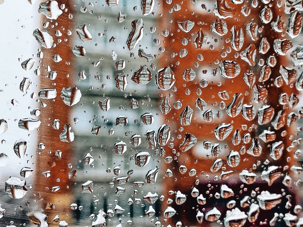 Photograph by Ксения Щербакова