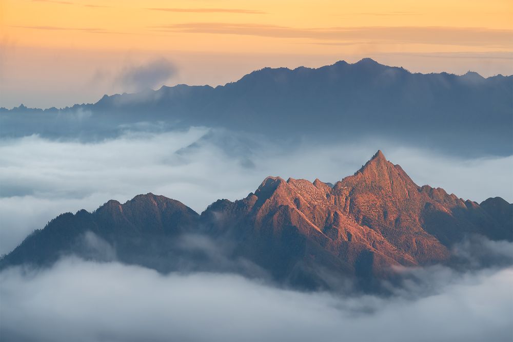 Фотография автора LINH TRAN