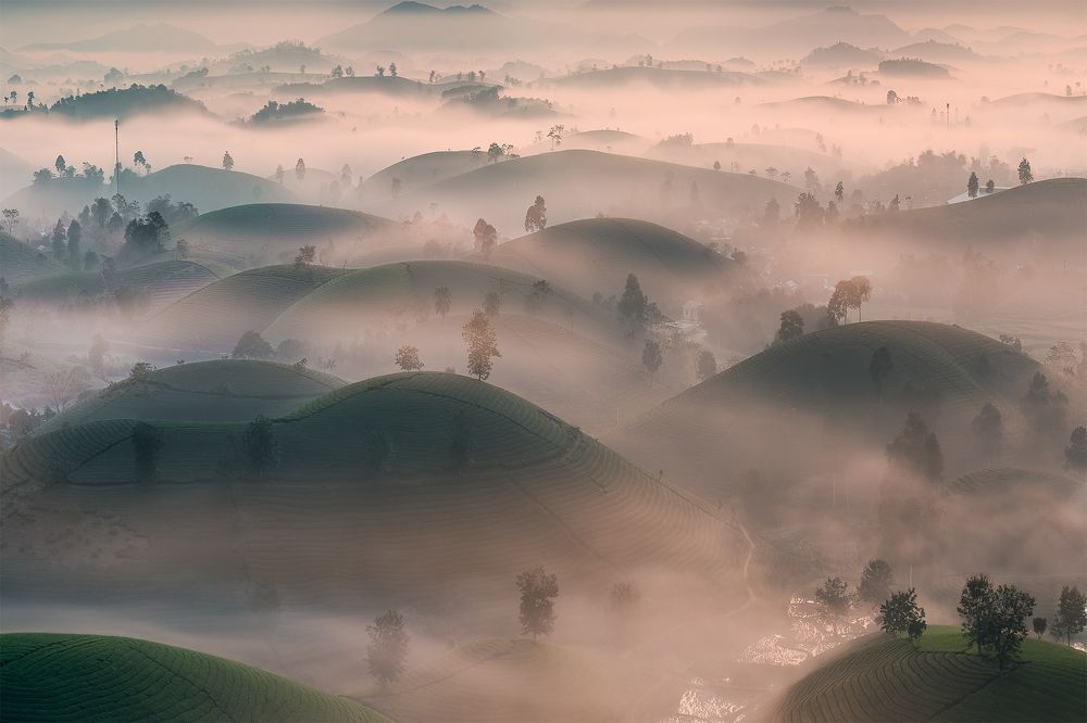 Photograph by LINH TRAN