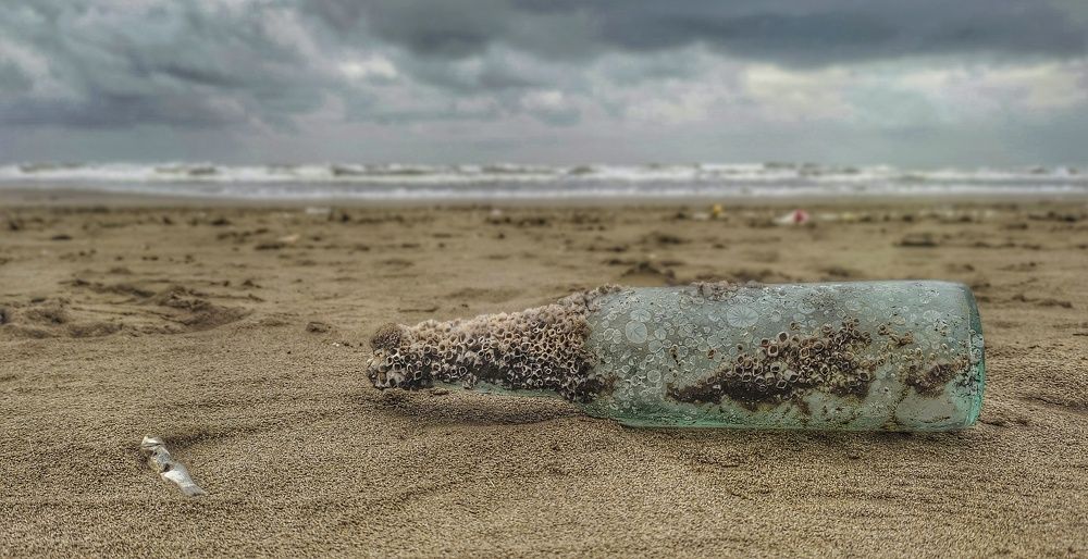 Фотография автора Mahdi Hosseini Kia