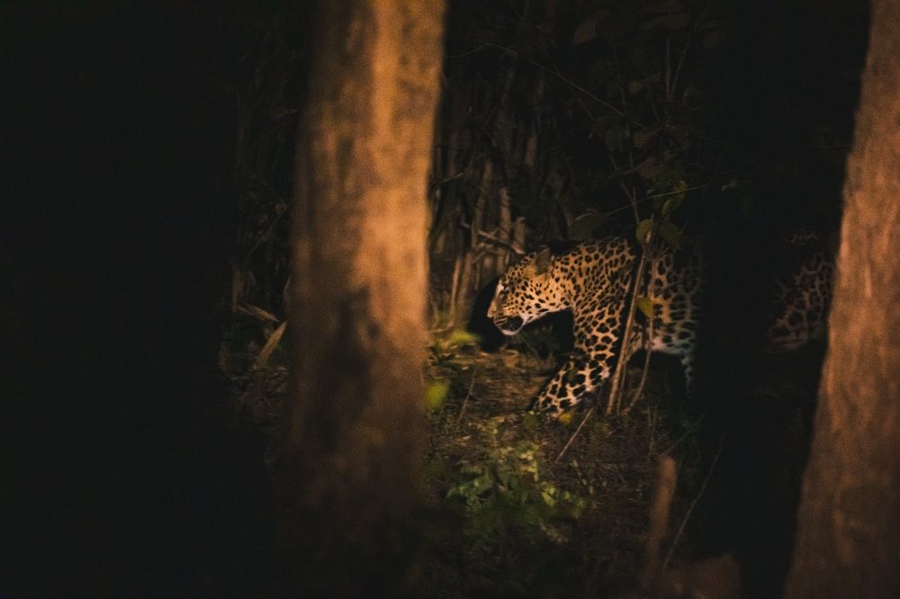 Photograph by Mudit Jain