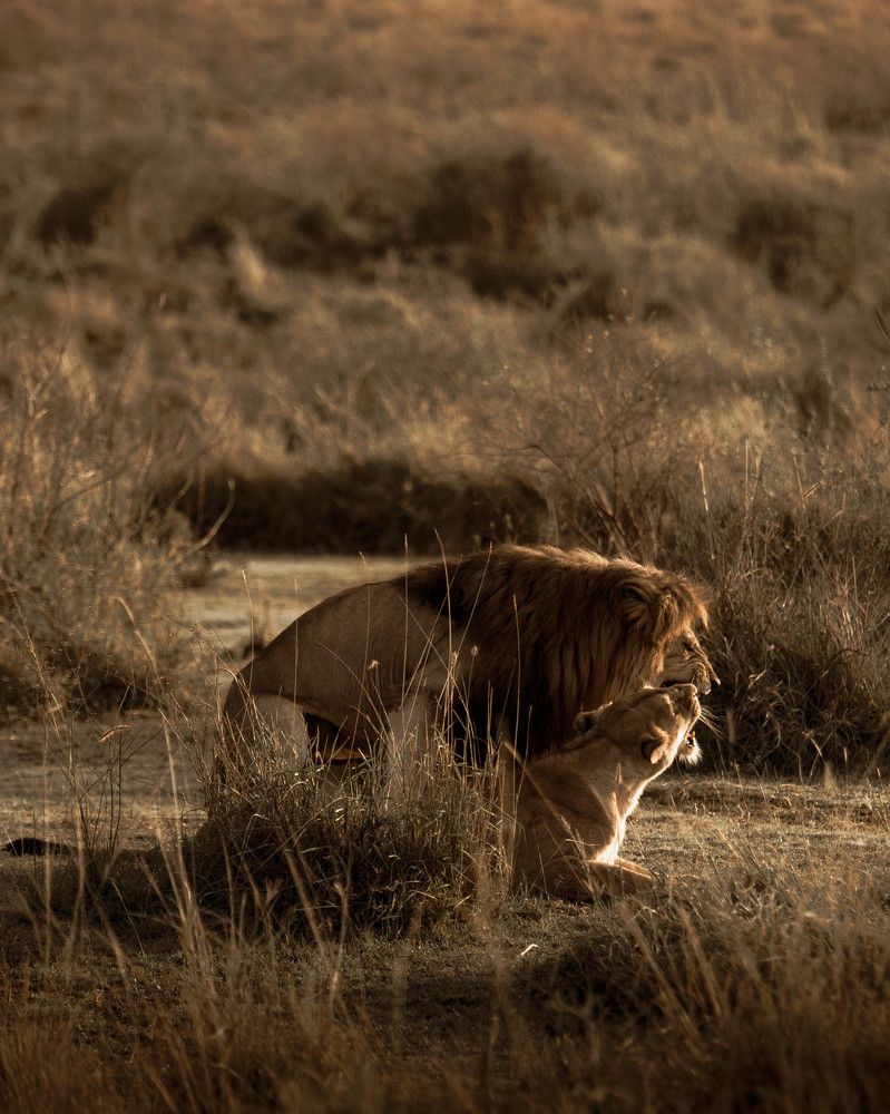 Photograph by Slyvester Nick