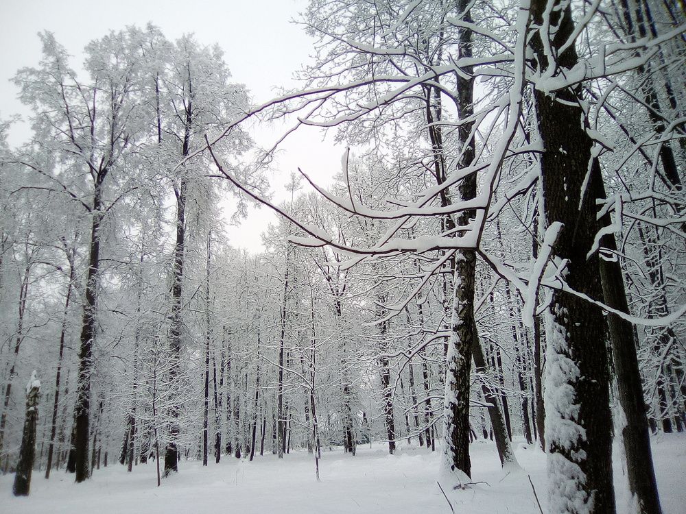 Photograph by Вадим Беляев