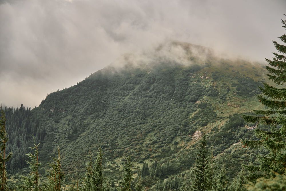 Photograph by Андрей Халемонец