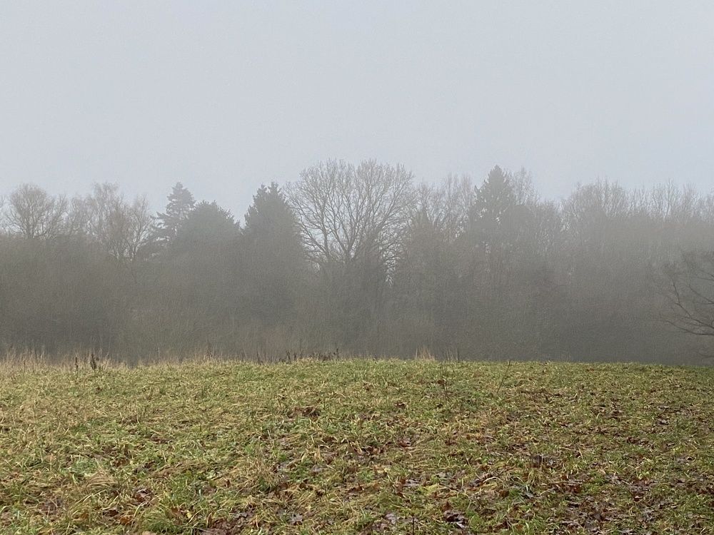 Фотография автора Ramin Ismayilov