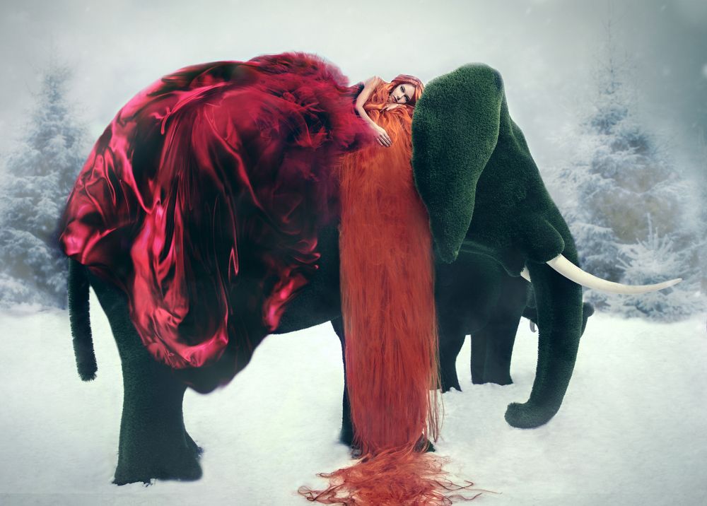 Photograph by Ксения Смирнова