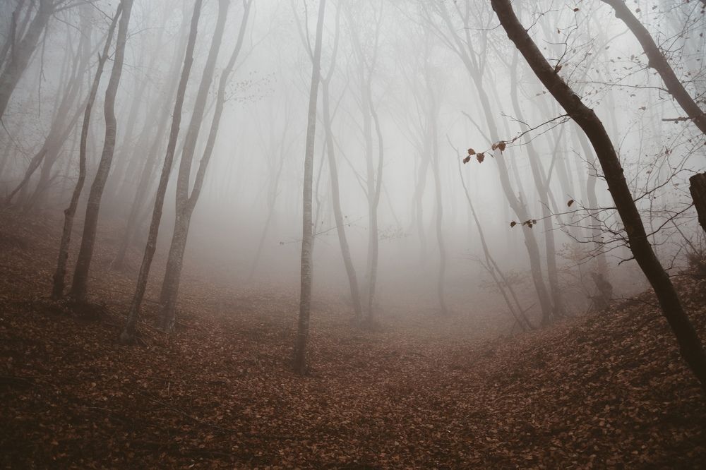 Photograph by Гибина Екатерина