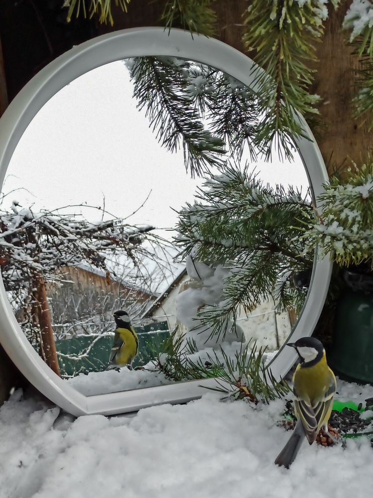 Photograph by Ирина Дегтярева