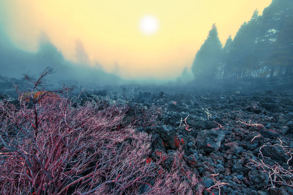 Фотография автора jean-luc