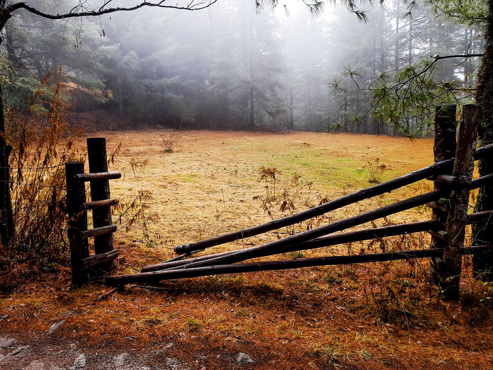 Photograph by Ngawang Namgay