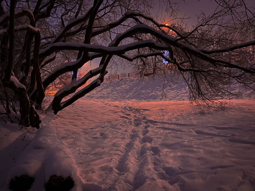 Photograph by Мария Сазонова