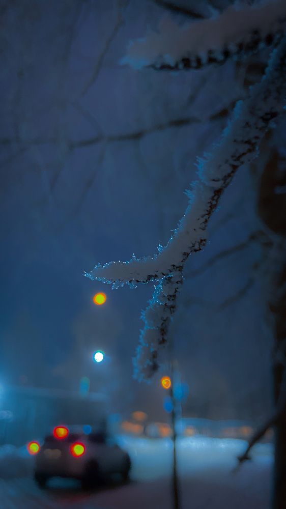 Photograph by Мария Сазонова