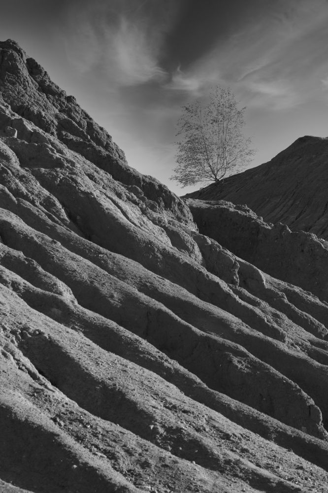 Photograph by Роман Рыжков