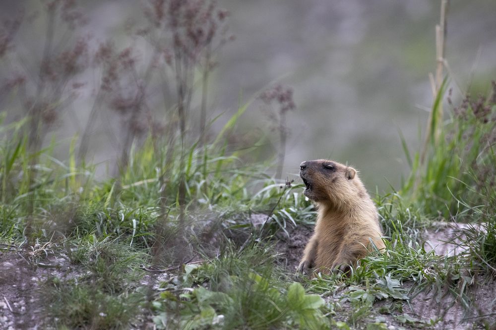 Photograph by Роман Рыжков