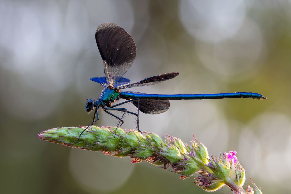Photograph by Кузнецов Дмитрий