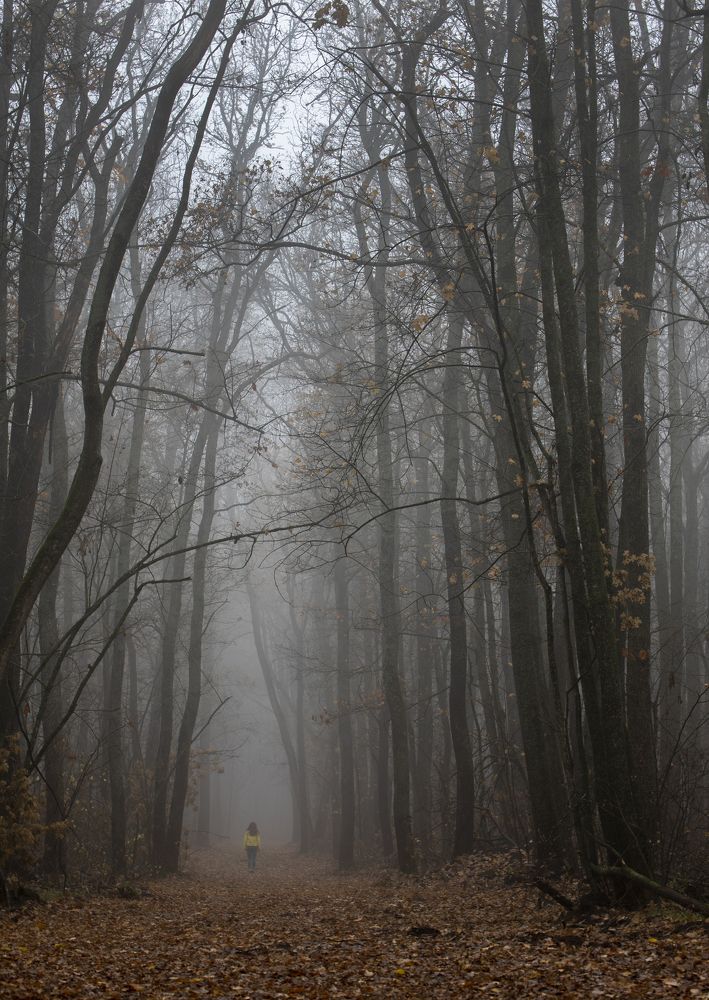 Photograph by Роман Рыжков