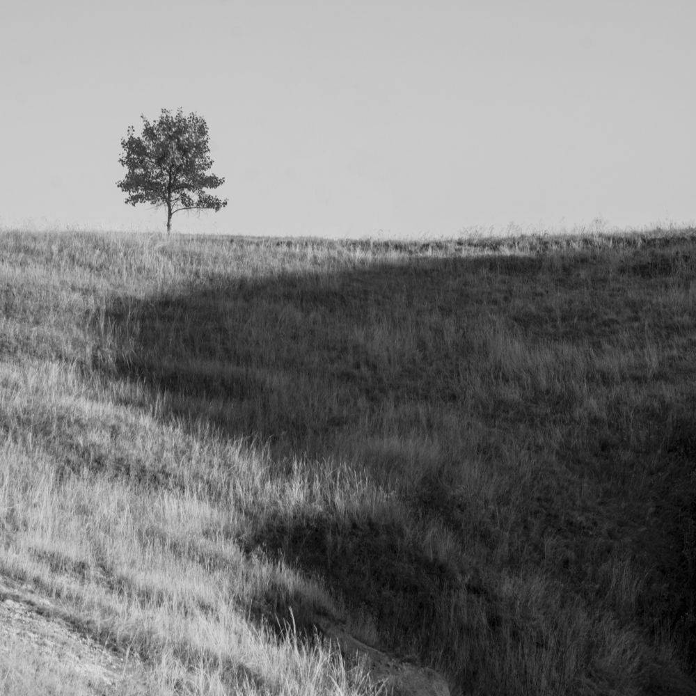 Photograph by Роман Рыжков