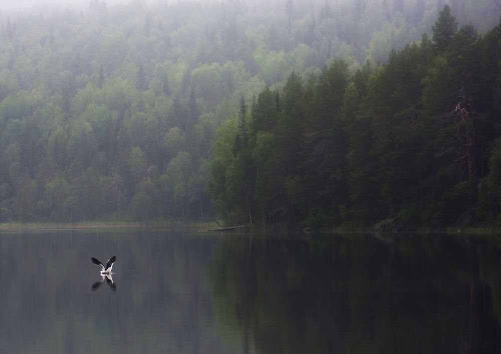 Photograph by Роман Рыжков