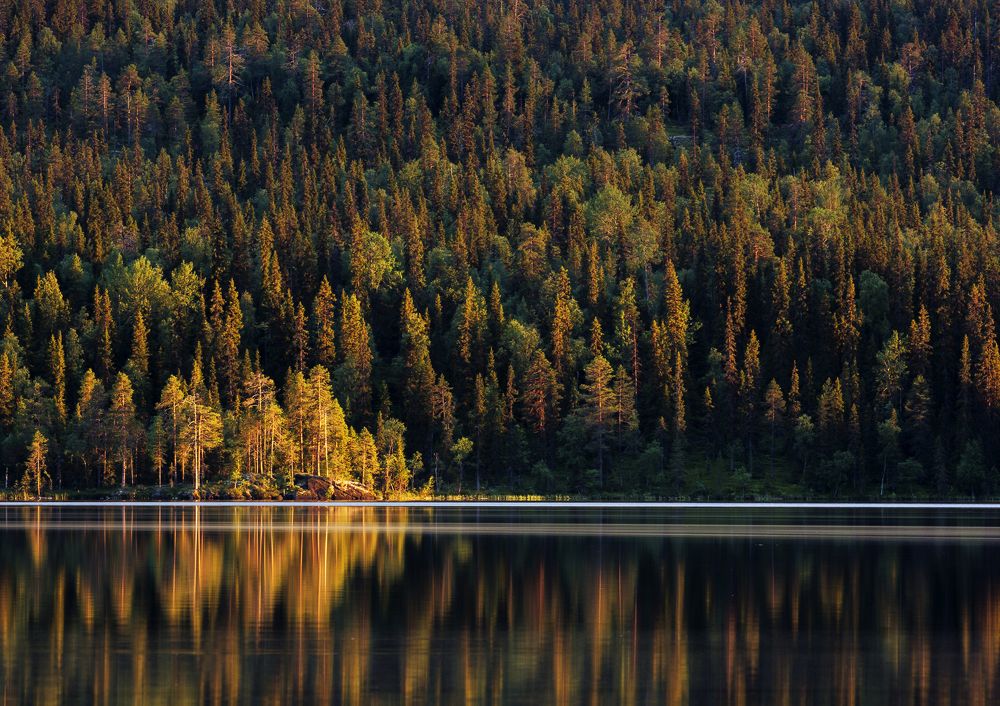 Photograph by Роман Рыжков