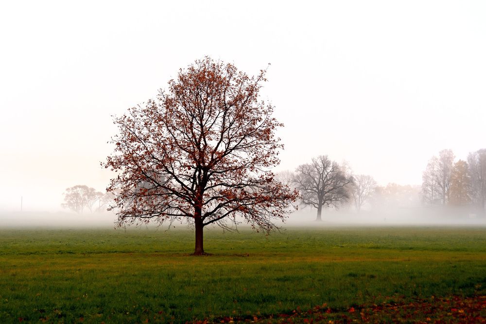 Photograph by Шутов Владимир