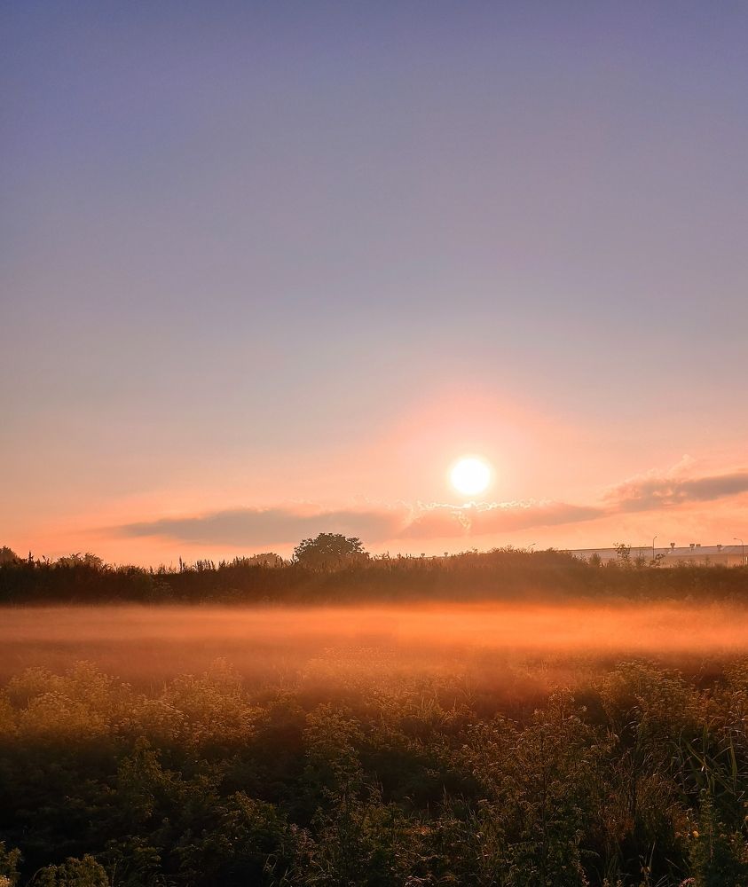 Photograph by Татьяна Долгушева