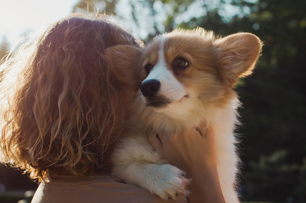 Photograph by Марина Брик