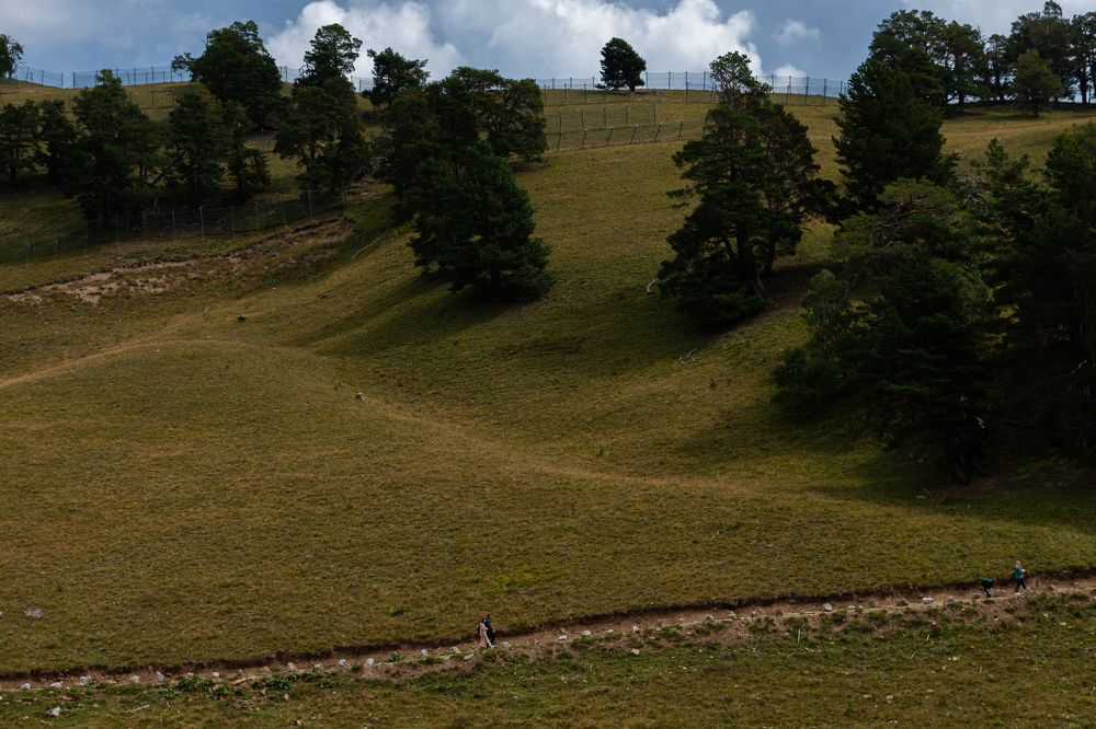 Photograph by Марина Брик