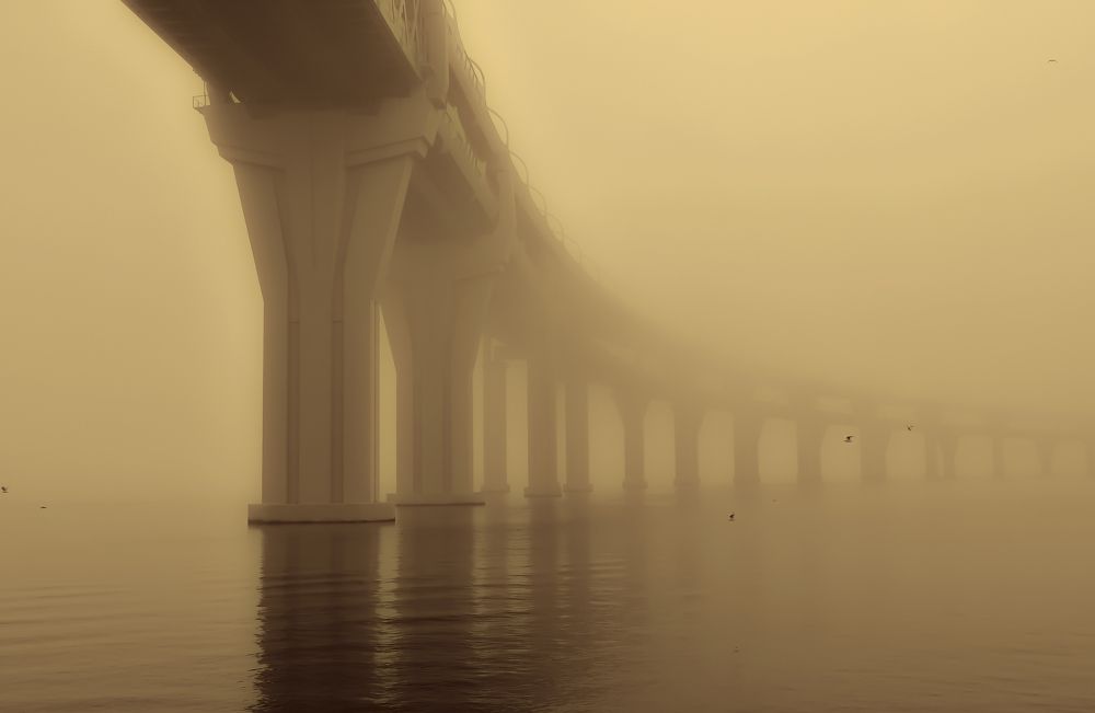 Photograph by Шутов Владимир