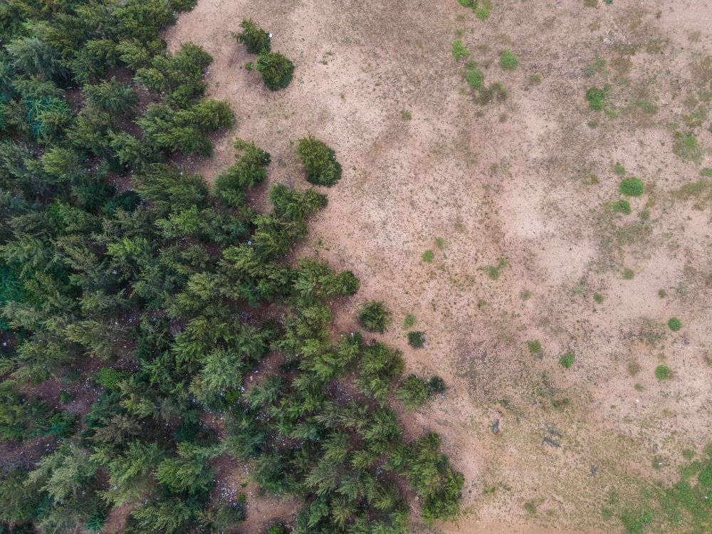 Photograph by Saket Golchha