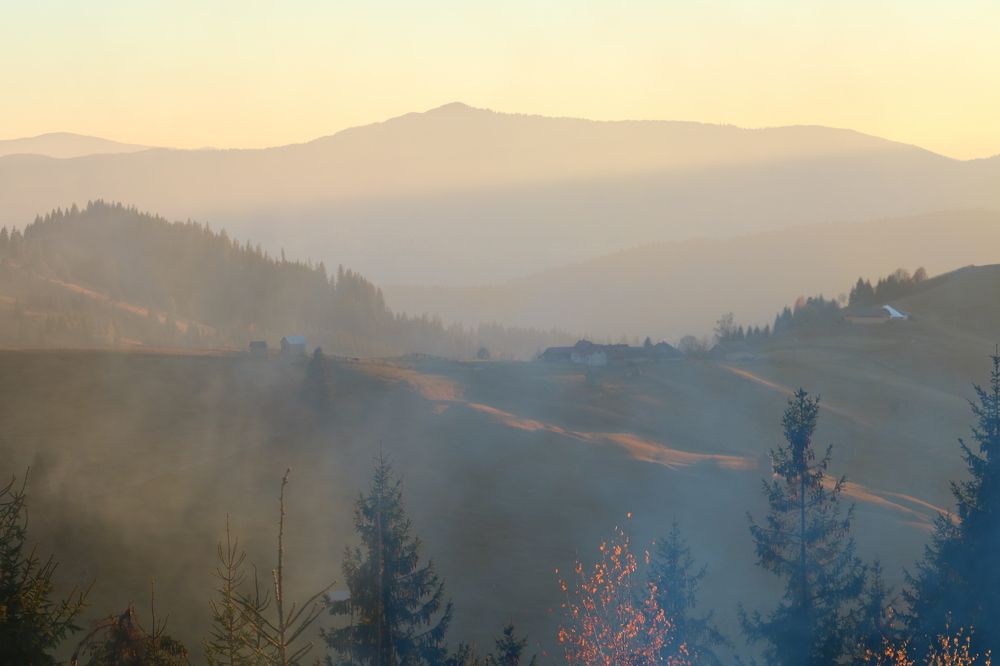 Photograph by Maria Golovach