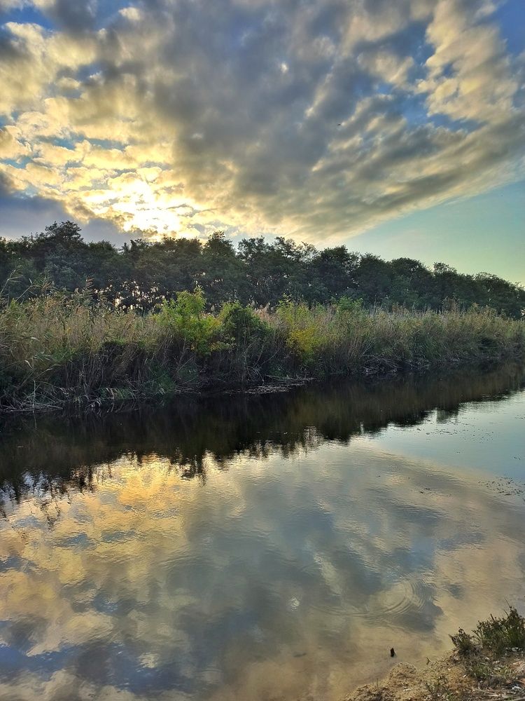 Фотография автора Татьяна Долгушева