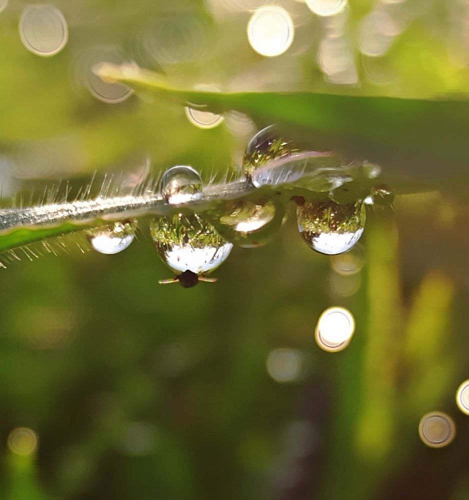 Фотография автора Татьяна Долгушева