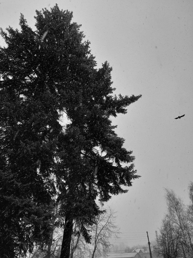 Photograph by Анна Витальевна