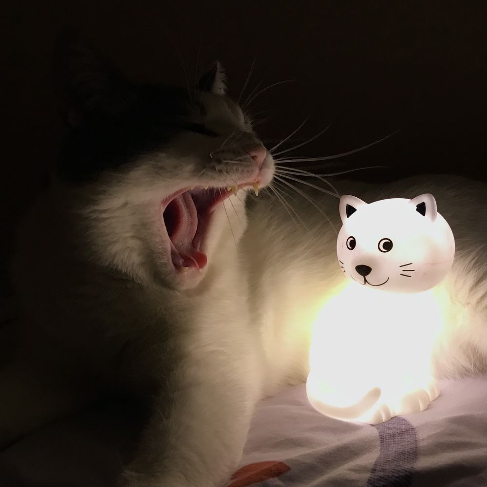 Photograph by Ксюша