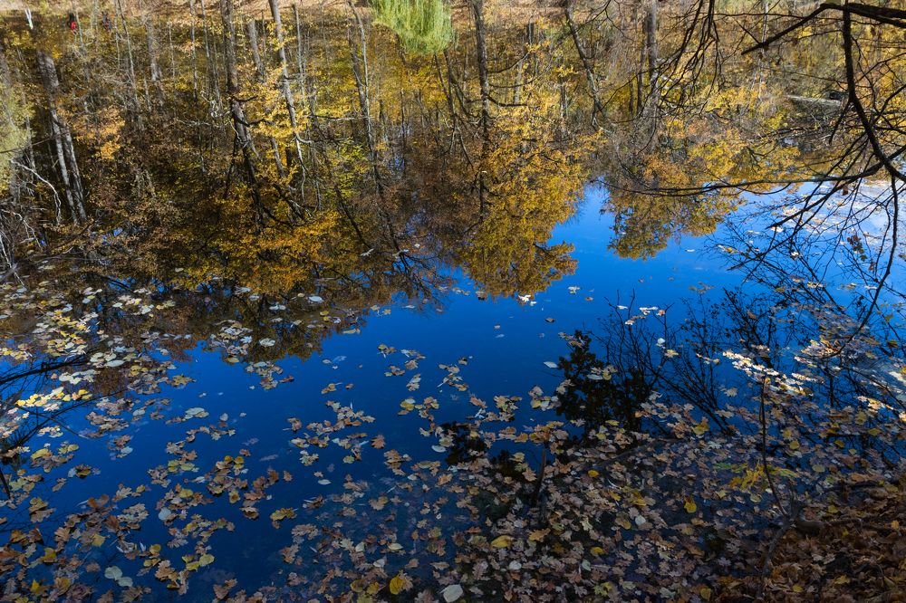 Фотография автора Андрей Серый
