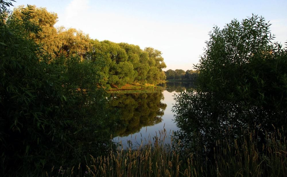 Photo #6887293
