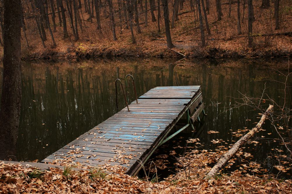 Photograph by Надежда Ржевская