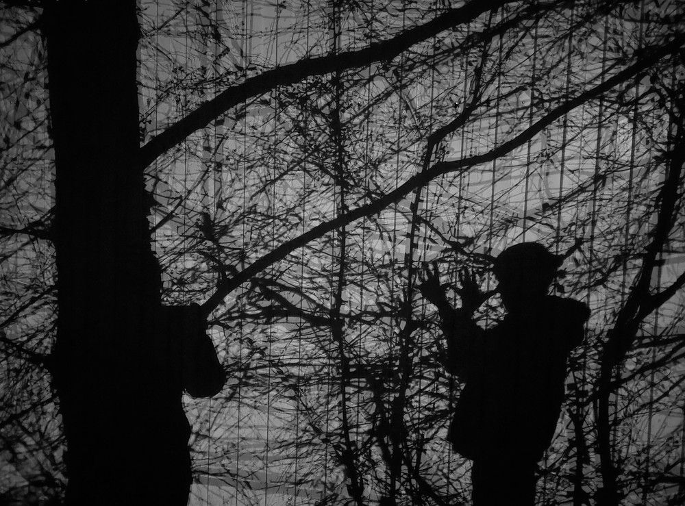 Буратино в тени