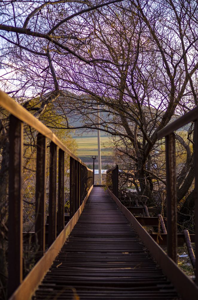 Фотография автора Hovhannes Nersisyan